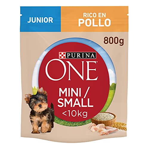 Purina One Mini weniger als 10 kg Junior Kroketten für kleine Welpen, reich an Huhn mit Reis, 8 Packungen mit 800 g von Purina ONE