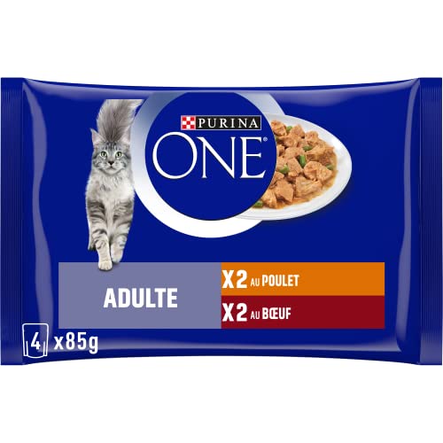 Purina One Schliff in Sauce, Mahlzeit für ausgewachsene Katzen, Hähnchen & Rind, 12 (4 x 85 g) von Purina ONE