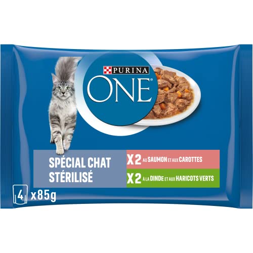 Purina One Schliff in Sauce, Mahlzeit für ausgewachsene Katzen, Lachs + Pute, 12 (4 x 85 g) von Purina ONE