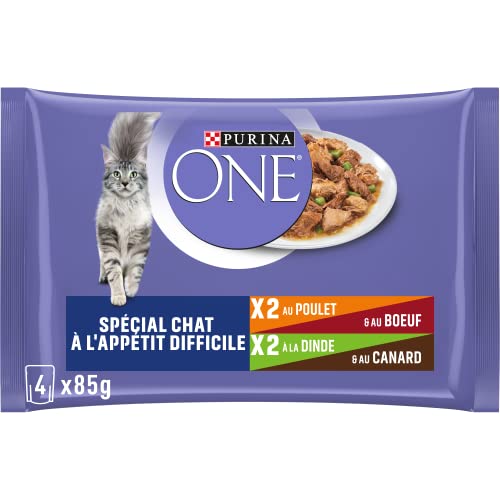 Purina One - Spezialfutter in Sauce Rind/Huhn/Ente und Truthahn für Katzen mit Appetit, 340 g von PURINA ONE