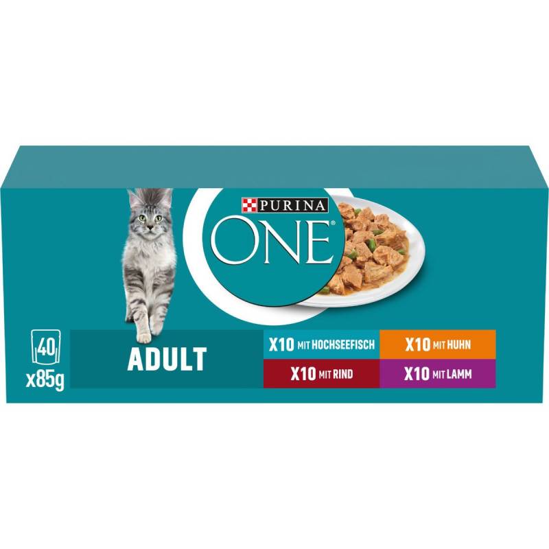 PURINA ONE Adult in Sauce Sorten-Mix 40x85g von Purina One