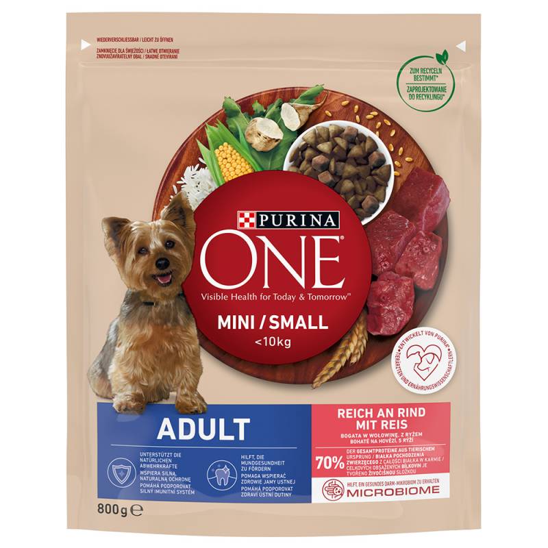 PURINA ONE Mini Adult Rind & Reis - Sparpaket: 5 x 800 g von Purina One