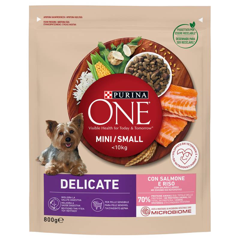 PURINA ONE Mini Delicate Lachs & Reis - Sparpaket: 5 x 800 g von Purina One