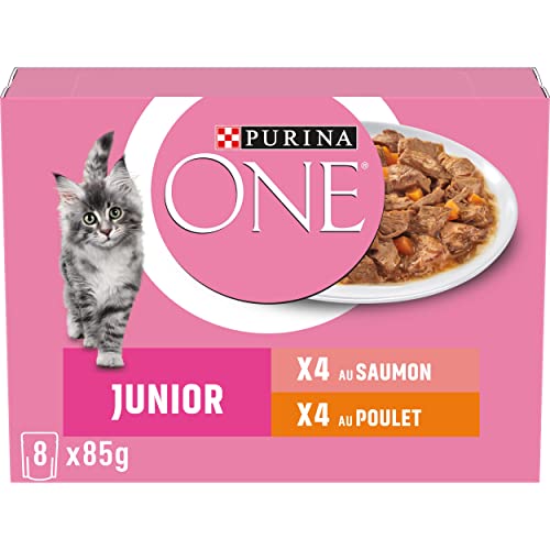 PURINA One Junior Dispersions-Sauce, Verschiedene Geschmacksrichtungen, Lachs und Huhn, für Kätzchen, 8 x 85 g von Purina