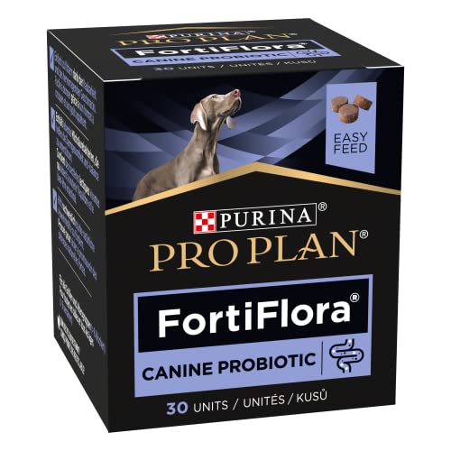 Purina PRO PLAN Forti Flora Chews Hund | 30 Kautabletten | Ergänzungsfuttermittel mit Probiotika | Kann dabei helfe Magen-Darm-Störungen zu minimieren | Für alle Altersgruppen von Purina