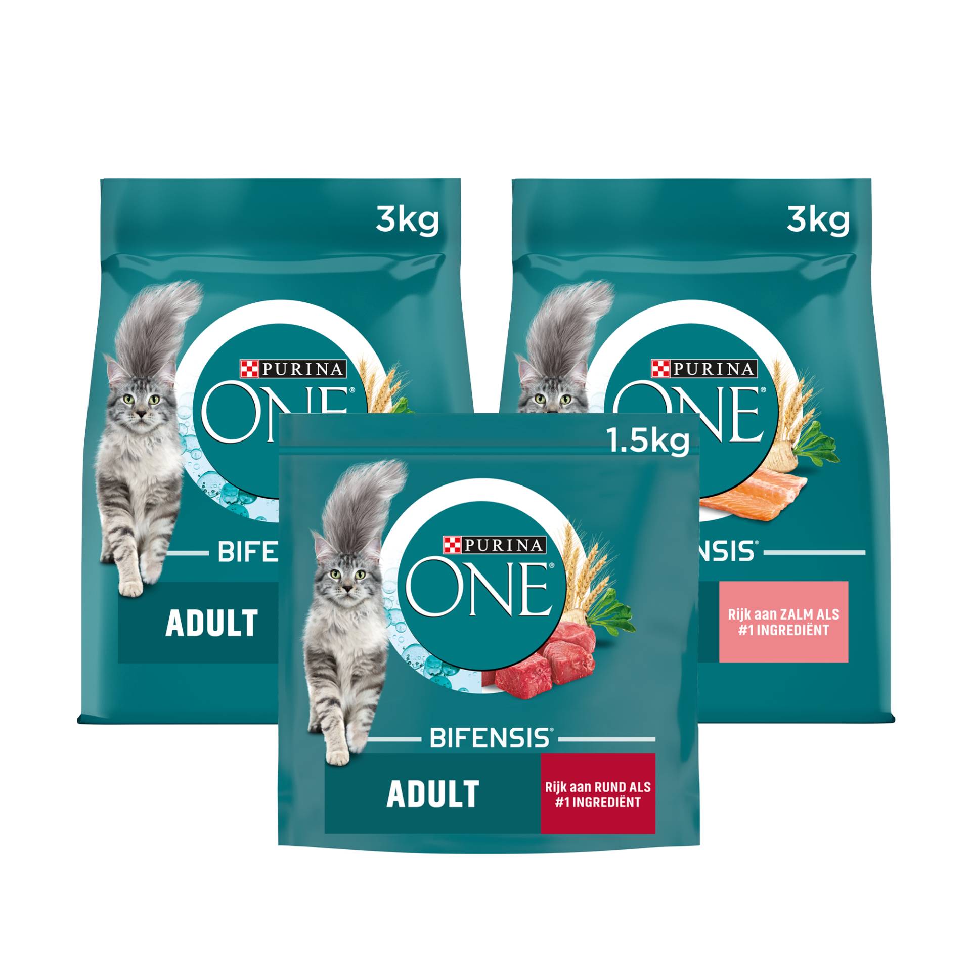 Purina ONE Adult - Huhn und Vollkorn - 1,5 kg von Purina