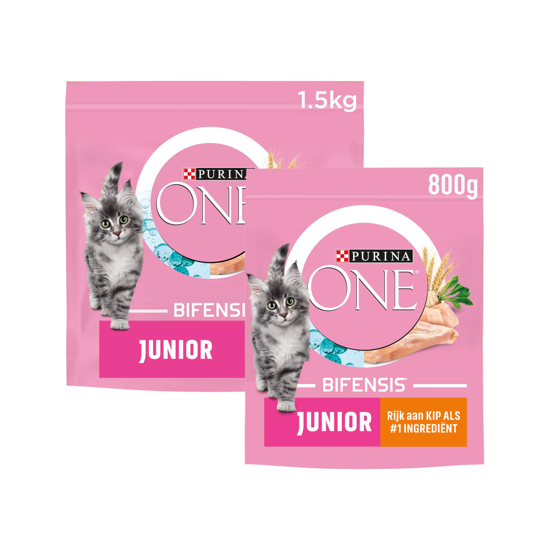 Purina ONE Junior - Huhn/Krautsalat - 800 g von Purina