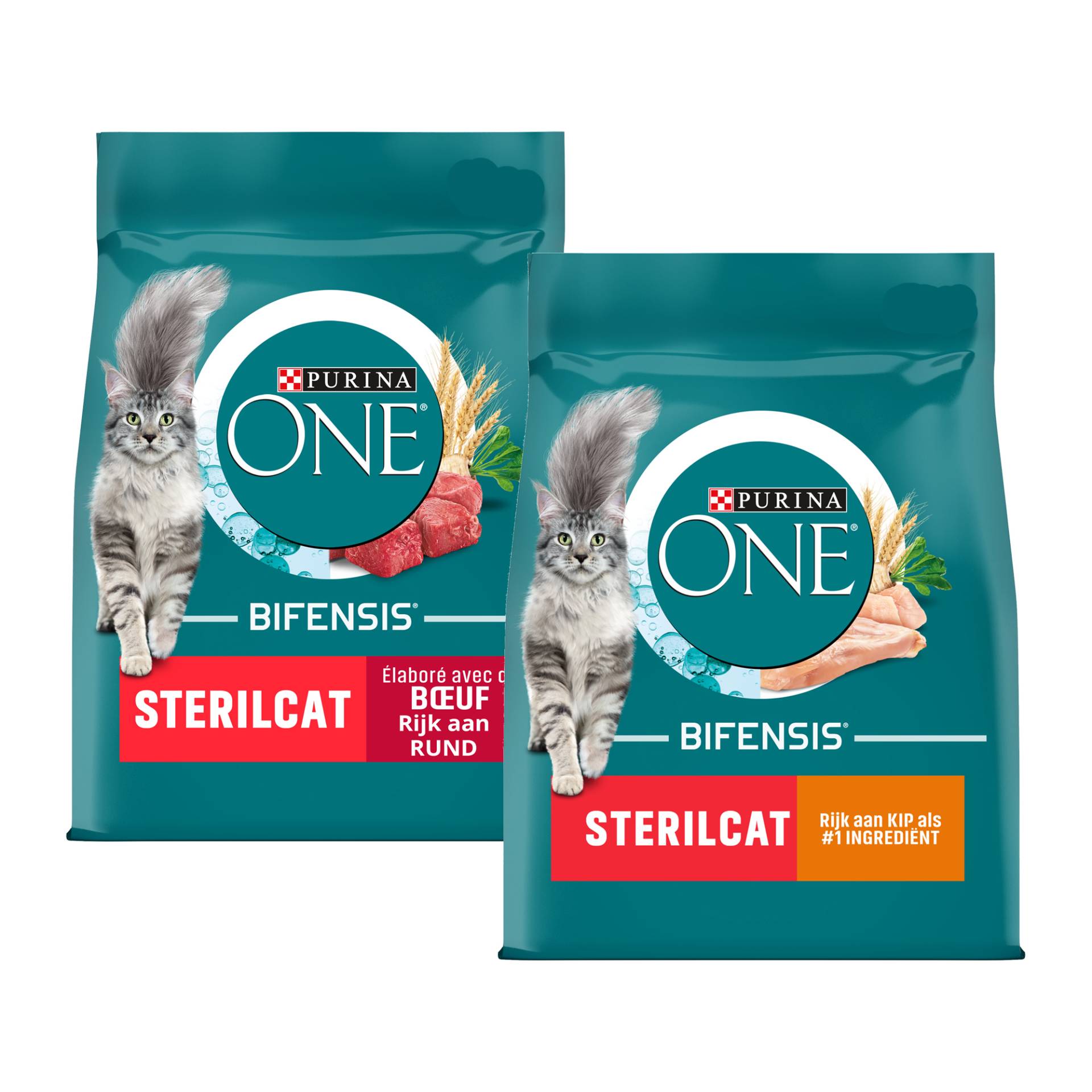 Purina One Sterilcat - Rindfleisch und Weizen - 2 x 3 kg von Purina