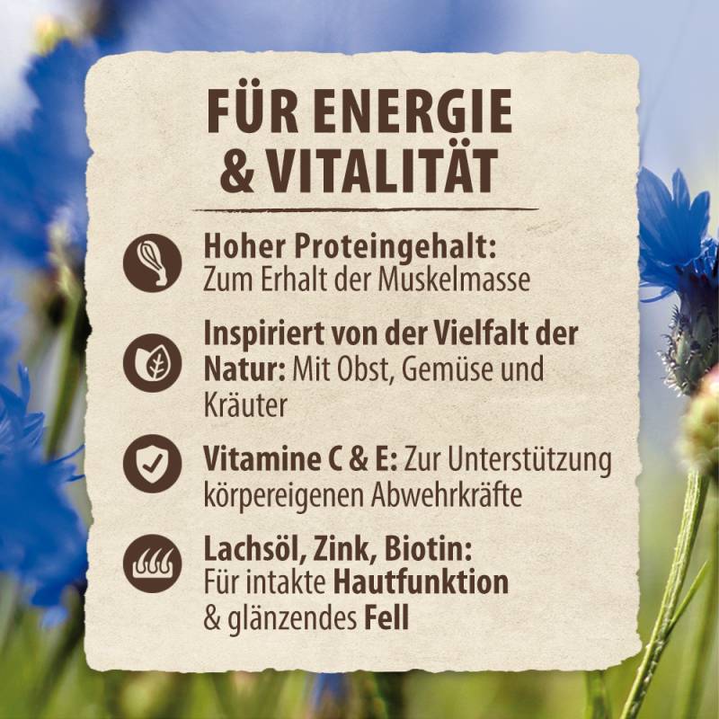 2,4 kg gratis! 14,4 kg Purizon Trockenfutter - getreidefrei - Single Meat Ente mit Lavendelblüten 2,4 kg gratis! 14,4 kg Purizon Trockenfutter - getreidefrei - Single Meat Ente mit Lavendelblüten von Purizon