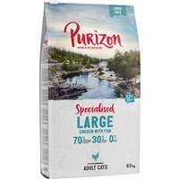 Purizon Large Adult Huhn & Fisch - getreidefrei - 2 x 6,5 kg von Purizon