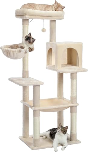 PurpurRain 162 cm großer Kratzbaum mit mit Sisal überzogenen Kratzbäumen, Katzenturm für große Katzen mit geräumiger Hängematte und 2 Sitzstangen Oben sowie austauschbaren baumelnden Bällen (Beige) PurpurRain 162 cm großer Kratzbaum mit mit Sisal überzogenen Kratzbäumen, Katzenturm für große Katzen mit geräumiger Hängematte und 2 Sitzstangen Oben sowie austauschbaren baumelnden Bällen (Beige) von PurpurRain