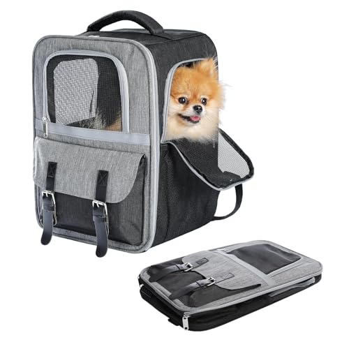 Purpurra Haustier Rucksack Katzenrucksack Hunderucksack, Tiertransporttasche für Kleine und Katzen Hunde bis 7 kg von PurpurRain