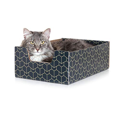 Purrfect Cat Box Bett mit Peek-a-Boo Ausschnitt, Premium Katzenboxen für Indoor-Katzen, niedliche und ästhetische Wellpappe, Liege zum Schlafen, 2 Stück, Blau von Purrfect Cat Box