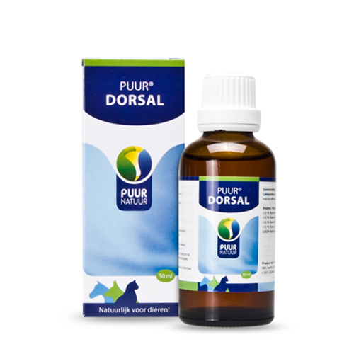 Puur Dorsal (ehemals Puur Rücken) - 50 ml von Puur