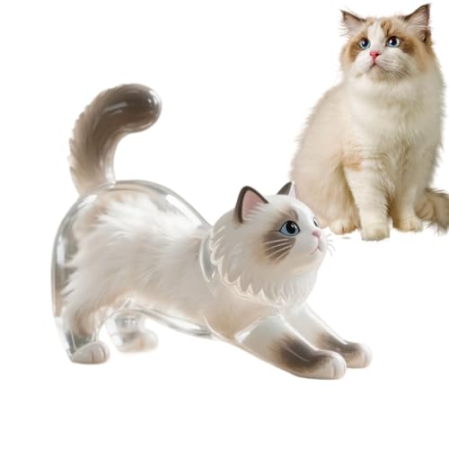 Katzen-Schlüsselanhänger, Acryl, transparente Haar-Aufbewahrungsflasche, Tierhaar-Gedenk-Andenken, Haustier-Gedenkanhänger, Katzenhaar-Sammler, Schlüsselanhänger, Haustier-Verlust-Erinnerung für von Puwaiio
