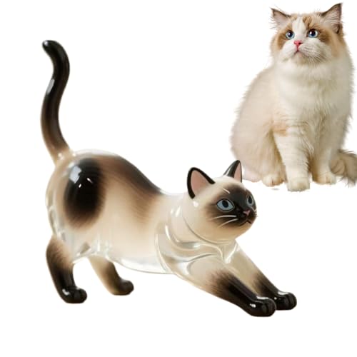 Katzen-Schlüsselanhänger, Acryl, transparente Haar-Aufbewahrungsflasche, Tierhaar-Gedenk-Andenken, Haustier-Gedenkanhänger, Katzenhaar-Sammler, Schlüsselanhänger, Haustier-Verlust-Erinnerung für von Puwaiio