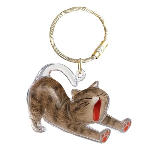 Katzen-Schlüsselanhänger, Haar-Aufbewahrungsflasche, transparente Tierhaare, Andenken, Katzenhaare Sammler-Schlüsselanhänger, niedliche Katzenhaar-Schlüsselanhänger, Haustierverlust von Puwaiio