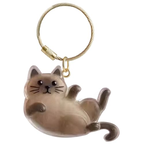 Katzen-Schlüsselanhänger, Haar-Aufbewahrungsflasche, transparente Tierhaare, Andenken, Katzenhaare Sammler-Schlüsselanhänger, niedliche Katzenhaar-Schlüsselanhänger, Haustierverlust von Puwaiio