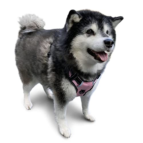 Puwihoe Hundegeschirr, kein Ziehen, reflektierend, mit einfachem Griff und Clips vorne und hinten, verstellbar, atmungsaktiv, weich gepolstert, für große, mittelgroße und kleine Hunde, Rosa, XL von Puwihoe
