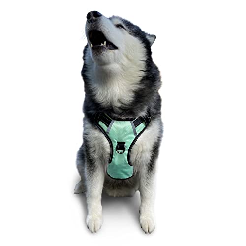 Puwihoe Hundegeschirr, kein Ziehen, reflektierend, mit einfachem Griff und Clips vorne und hinten, verstellbar, atmungsaktiv, weich gepolstert, für große, mittelgroße und kleine Hunde, grün, XL von Puwihoe