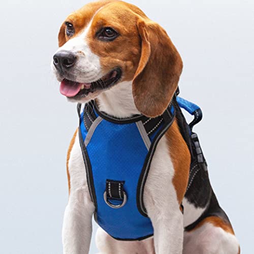 Puwihoe Hundegeschirr, kein Ziehen, reflektierend, mit leicht zu kontrollierendem Griff und Clips vorne und hinten, verstellbar, atmungsaktiv, weich gepolstert, für Beagle-Hund, Blau, Größe M Puwihoe Hundegeschirr, kein Ziehen, reflektierend, mit leicht zu kontrollierendem Griff und Clips vorne und hinten, verstellbar, atmungsaktiv, weich gepolstert, für Beagle-Hund, Blau, Größe M von Puwihoe