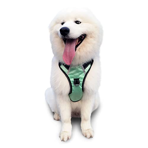 Puwihoe Hundegeschirr ohne Ziehen, reflektierend, mit einfachem Griff und Clips vorne und hinten, verstellbar, atmungsaktiv, weich gepolstert, für große, mittelgroße und kleine Hunde, grün, L von Puwihoe