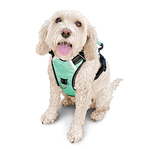 Puwihoe Hundegeschirr ohne Ziehen, reflektierend, mit einfachem Griff und Clips vorne und hinten, verstellbar, atmungsaktiv, weich gepolstert, für große, mittelgroße und kleine Hunde, grün, M von Puwihoe