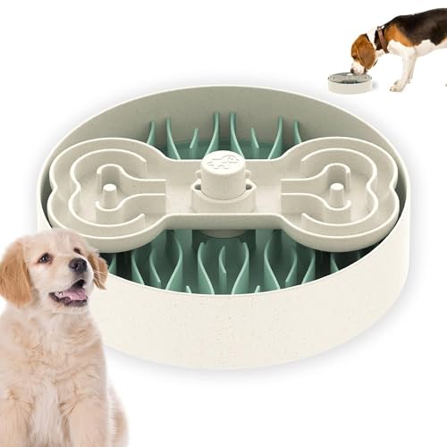 Puzzle Feeder™ - Slow Feeder - Green Puzzle Feeder™ - Slow Feeder - Green von Puzzle Feeder