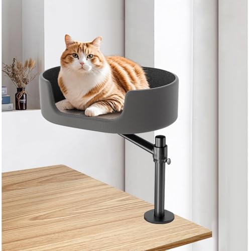 Katzen-Schreibtischbett, klemmbares Katzenbett für den Schreibtisch, 360° drehbar und höhenverstellbar, einfach zu montierendes Haustierbett, modernes Katzenbett für drinnen zum Schlafen Katzen-Schreibtischbett, klemmbares Katzenbett für den Schreibtisch, 360° drehbar und höhenverstellbar, einfach zu montierendes Haustierbett, modernes Katzenbett für drinnen zum Schlafen von Pveanns
