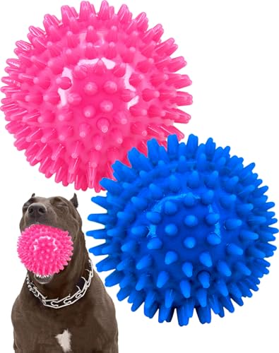 Pweituoet 2 Stück 11,4 cm robuster Quietsch-Hundeball für mittelgroße und große Hunde, stacheliges Hundespielzeug für saubere Zähne und Training, großes Hundespielzeug für aggressives Kauen, Blau / Pweituoet 2 Stück 11,4 cm robuster Quietsch-Hundeball für mittelgroße und große Hunde, stacheliges Hundespielzeug für saubere Zähne und Training, großes Hundespielzeug für aggressives Kauen, Blau / von Pweituoet