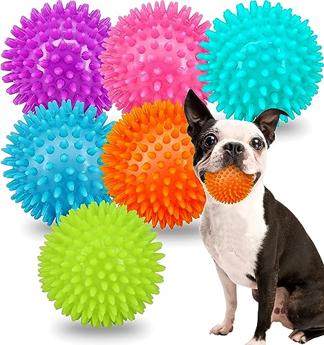 Quietschende Hundebälle für kleine und mittelgroße Hunde, 6,3 cm, Kauspielzeug für kleine Hunde mit Spike, Welpenspielzeug für Zahnreinigung und Training (grün, 6 Stück) von Pweituoet