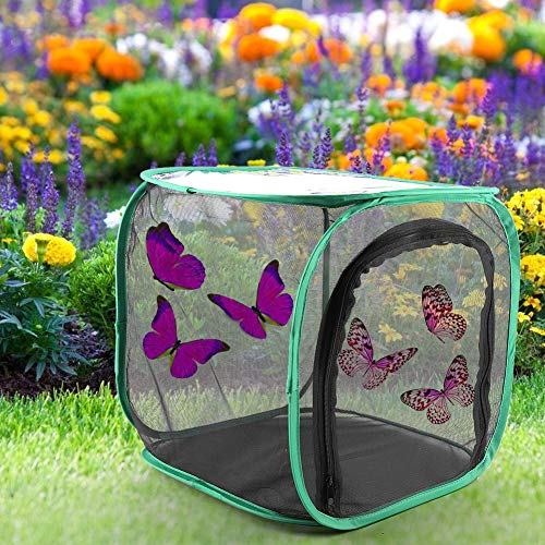 Großer Schmetterlingslebensraum, Vogelkäfige, Sittichkäfige, Sicher Wiederverwendbar mit Reißverschluss für Insekten Großer Schmetterlingslebensraum, Vogelkäfige, Sittichkäfige, Sicher Wiederverwendbar mit Reißverschluss für Insekten von Pwshymi