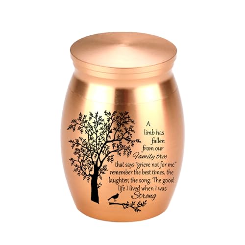 Pyasuye Einfache Asche Urne Memorial Schmuck Verfeinerung Schachtel Metallglas Einäscherung Schmuckschatulle Für Asche Dekorative Haustier Pyasuye Einfache Asche Urne Memorial Schmuck Verfeinerung Schachtel Metallglas Einäscherung Schmuckschatulle Für Asche Dekorative Haustier von Pyasuye
