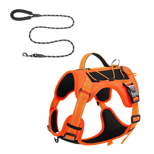 Pyasuye Hundeweste Kabelbaum Leine Set Trainingsweste Für Laufen Und Schwimmen Für Kleine Bis Große Hunde Welpe Leine Und Gurthilfe Pyasuye Hundeweste Kabelbaum Leine Set Trainingsweste Für Laufen Und Schwimmen Für Kleine Bis Große Hunde Welpe Leine Und Gurthilfe von Pyasuye