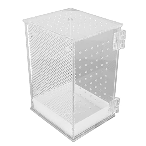 Pyhodi Kleiner Glastank, 3 Arten von Reptilien, Hohes Glasterrarium, Einfache, Hochtransparenter Zuchttank für Leopardengeckos, Vogelspinne, Junge Eidechsen, Einsiedlerkrebse, (S, 50 x 50 x 20 cm / Pyhodi Kleiner Glastank, 3 Arten von Reptilien, Hohes Glasterrarium, Einfache, Hochtransparenter Zuchttank für Leopardengeckos, Vogelspinne, Junge Eidechsen, Einsiedlerkrebse, (S, 50 x 50 x 20 cm / von Pyhodi