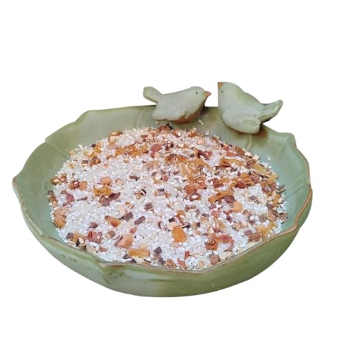 Ceramic Bird Bath Outdoor, Multifunctional 10 Inch Bird Food Water Container, Parrot, Squirrel Feeding Dish, Sturdy Bathing and Feeding Solution for Wild Birds and Pets von Pzuryhg