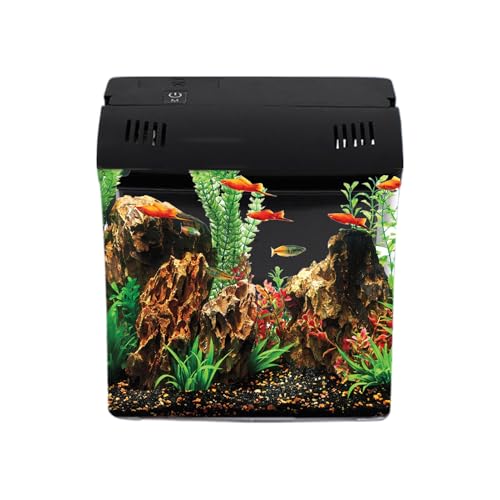 Fischaquarium - Desktop -Tank für Betta Fish | Klarer transparenter BAU mit Filter, dekorative Accessoires für Garnelenschildkrötenquallen, Schule, Arbeitsplatz, Wohnkultur Fischaquarium - Desktop -Tank für Betta Fish | Klarer transparenter BAU mit Filter, dekorative Accessoires für Garnelenschildkrötenquallen, Schule, Arbeitsplatz, Wohnkultur von Pzuryhg