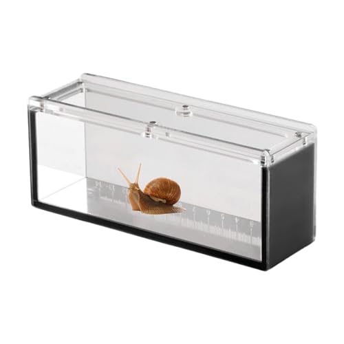 Fischbeobachtungsbox – Acryl Fischbeobachtungskoffer mit Deckel | Aquatic Isolation Breeder Box für Krabben, Schnecken, Spinnen von Pzuryhg