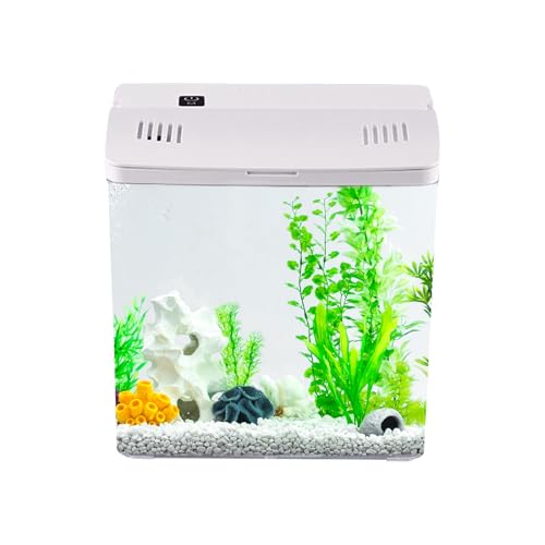 Fischtank - kleines Desktop -Aquarium für Betta | Ästhetische Transparenz Build mit Filter, Haustierzubehör für Garnelenschildkrötequallen, Arbeitsplatz, Schreibtisch und Wohnkultur Fischtank - kleines Desktop -Aquarium für Betta | Ästhetische Transparenz Build mit Filter, Haustierzubehör für Garnelenschildkrötequallen, Arbeitsplatz, Schreibtisch und Wohnkultur von Pzuryhg