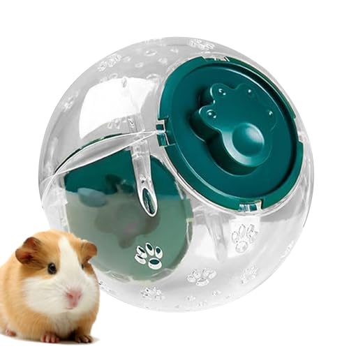 Gründball, Hamsterball | Transparent Lauf Hamsterrad - Multifunktionales Radkäfigzubehör kleine Haustiere Aktivität für Freunde Kinder Erwachsene Teen Familie von Pzuryhg