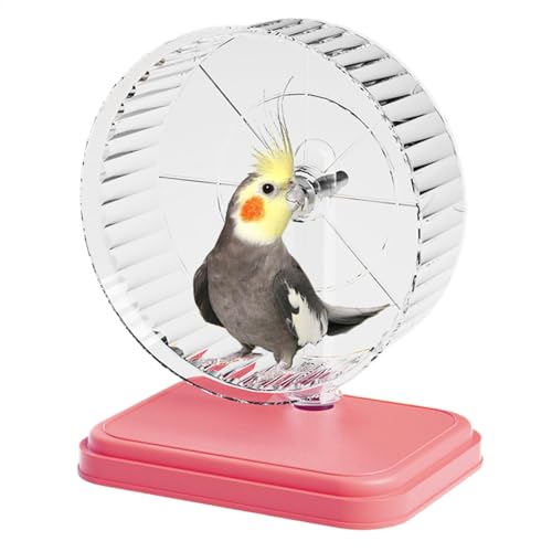 Hamster Running Wheel, Silent Small Animals Exercise Wheel, Quiet Exercise Runner Hoop, Double-Bearing Pet Toy, Work Disk for Pets, Easy to Clean, Versatile Use von Pzuryhg