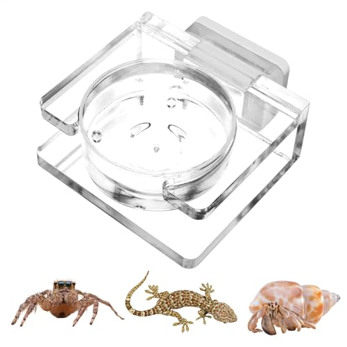 Jumping Spider Feeding Dish, Magnetic Food Dish, Acrylic Material, Transparent Acrylic Bowl for Tarantulas & Small Spiders, 5x4.5x2cm, Enclosure Accessories, Easy to Clean & Reuse von Pzuryhg