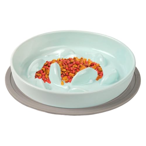 Langsamer Futternapf, langsamer Futternapf für Katzen, Hundefutternapf, langsamer Futternapf, langsamer Futternapf, Haustierfutternapf, langsamer Katzenfutternapf, Hundefutternapf, langsamer F Langsamer Futternapf, langsamer Futternapf für Katzen, Hundefutternapf, langsamer Futternapf, langsamer Futternapf, Haustierfutternapf, langsamer Katzenfutternapf, Hundefutternapf, langsamer F von Pzuryhg