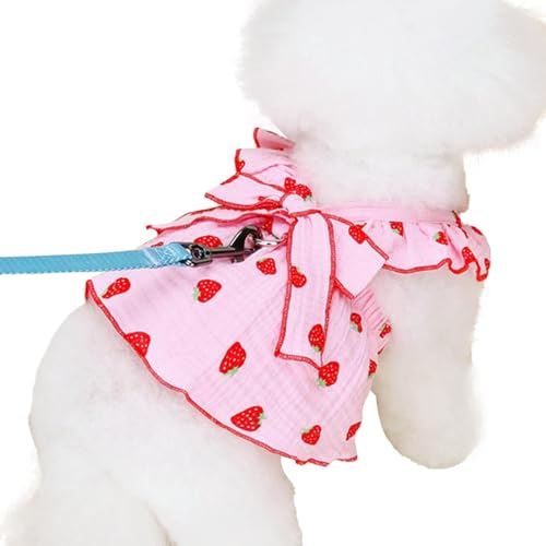 Pzuryhg Kleid für kleine Hunde – Haustierrock, Katzenkleider, Erdbeer-Druck, Partykleid, niedliches Hundekleid, Katzenbekleidung, Welpenkleid, Frühlingssommer-Hunde-Outfits von Pzuryhg