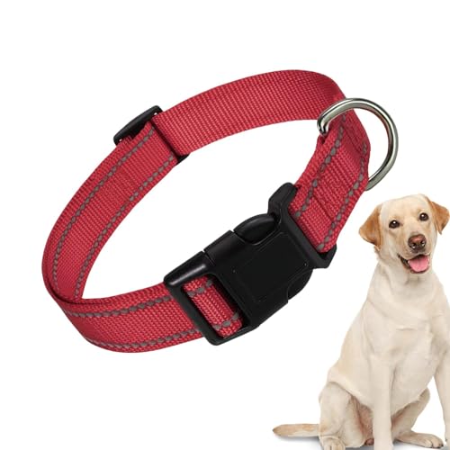 Pzuryhg Reflektierendes Halsband für Haustiere, Komfort-Halsband, Nylon, bequem, atmungsaktiv, bequem für große Katzen, kleine Hunde Pzuryhg Reflektierendes Halsband für Haustiere, Komfort-Halsband, Nylon, bequem, atmungsaktiv, bequem für große Katzen, kleine Hunde von Pzuryhg