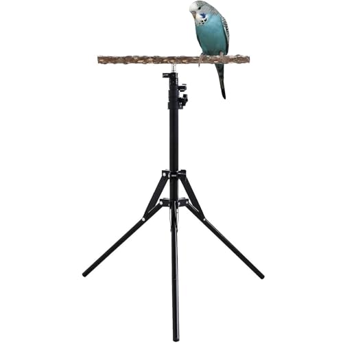 Pzuryhg Verstellbarer Vogel-Sitzstange – 40–157 cm höhenverstellbarer Vogel-Trainings-Sitzstange | Naturholz Papageien-Sitzstange, Spielzeug, Vogel-Trainings-Sitzstange für drinnen und draußen von Pzuryhg