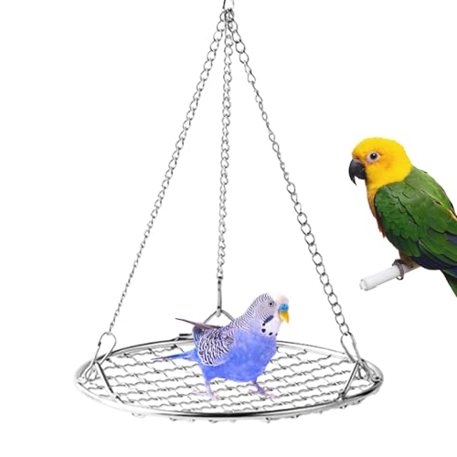Vogel Hängematte Für Käfig - Vogel Schaukeln | mit kühlendem Gitterdesign Edelstahl Spielplatz Ruhebett kausicher rostbeständig für Unzertrennliche Nymphensittiche Finken Zoohandlung Vogel Hängematte Für Käfig - Vogel Schaukeln | mit kühlendem Gitterdesign Edelstahl Spielplatz Ruhebett kausicher rostbeständig für Unzertrennliche Nymphensittiche Finken Zoohandlung von Pzuryhg