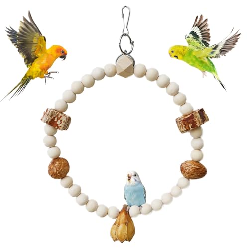 Vogelschaukeln für Sittiche | Papageienständer, Sitzstange, Spielzeug, Vogelsitzstangen, Käfigspielzeug, Vogelschaukel, Trainingsständer, Sitzstange, Papageienspielzeug für kleine Vögel Vogelschaukeln für Sittiche | Papageienständer, Sitzstange, Spielzeug, Vogelsitzstangen, Käfigspielzeug, Vogelschaukel, Trainingsständer, Sitzstange, Papageienspielzeug für kleine Vögel von Pzuryhg