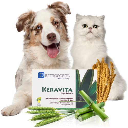 Keravita | Vitalität fürs Fell und Starke Krallen für Hunde und Katzen | Natürliche Formel mit botanischem Keratin, Bambus, Vitaminen und Zink | Leicht zu handhabende, schmackhafte Tabletten von Dermoscent