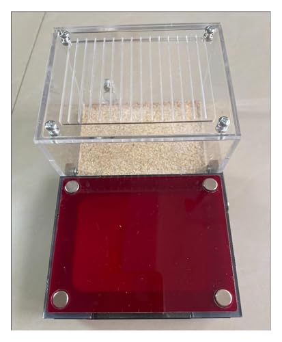 Ameisenzuchtbox, Ameisenfarm, Ameisenzuchtbox, Ameisenfarm, Ameisenfarm aus Beton, DIY Ameisenhaus, Nest, Lebensraum, Haustier, Ameisenhaufen, Werkstatt, Insektenvilla, ökologische Box, Geburtstagsges Ameisenzuchtbox, Ameisenfarm, Ameisenzuchtbox, Ameisenfarm, Ameisenfarm aus Beton, DIY Ameisenhaus, Nest, Lebensraum, Haustier, Ameisenhaufen, Werkstatt, Insektenvilla, ökologische Box, Geburtstagsges von QAQAQ